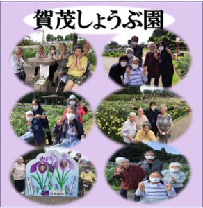 さくら亭　6月賀茂しょうぶ園